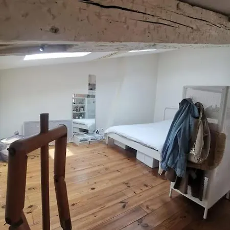 Loft D'artiste Au Coeur De La דירה